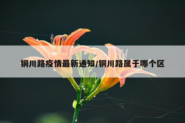 铜川路疫情最新通知/铜川路属于哪个区