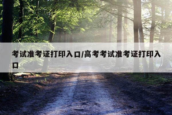 考试准考证打印入口/高考考试准考证打印入口