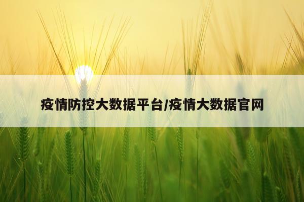 疫情防控大数据平台/疫情大数据官网