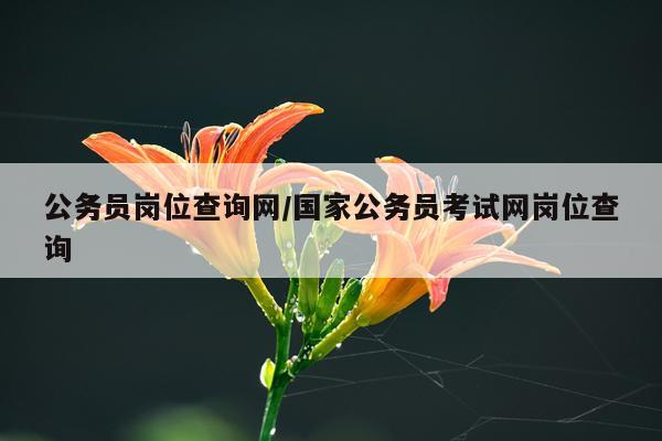 公务员岗位查询网/国家公务员考试网岗位查询