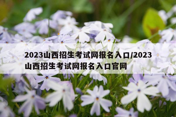2023山西招生考试网报名入口/2023山西招生考试网报名入口官网