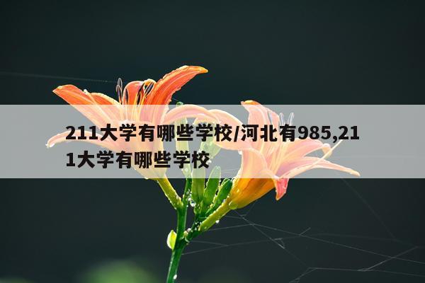 211大学有哪些学校/河北有985,211大学有哪些学校