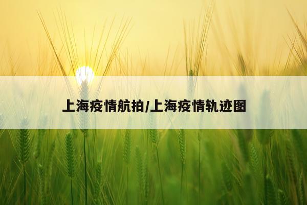 上海疫情航拍/上海疫情轨迹图