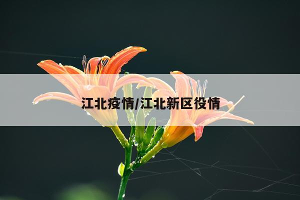 江北疫情/江北新区役情
