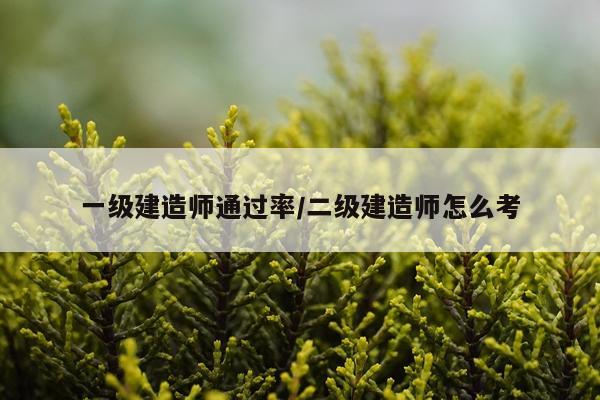 一级建造师通过率/二级建造师怎么考