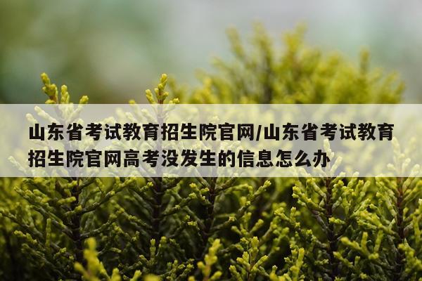 山东省考试教育招生院官网/山东省考试教育招生院官网高考没发生的信息怎么办
