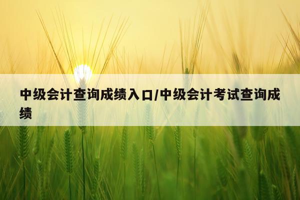 中级会计查询成绩入口/中级会计考试查询成绩