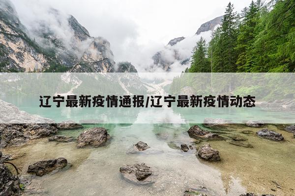 辽宁最新疫情通报/辽宁最新疫情动态