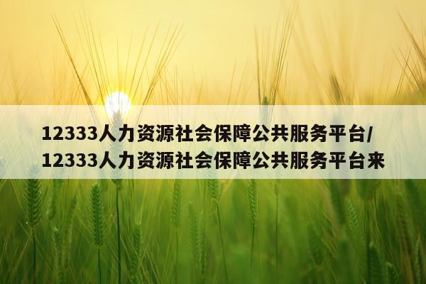 12333人力资源社会保障公共服务平台/12333人力资源社会保障公共服务平台来