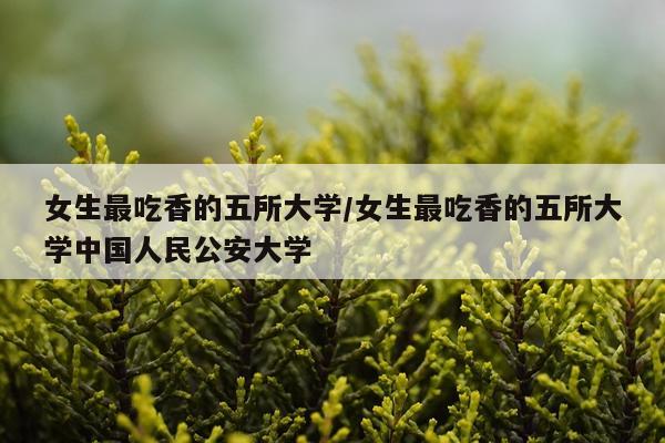 女生最吃香的五所大学/女生最吃香的五所大学中国人民公安大学