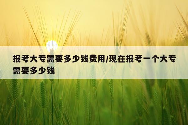 报考大专需要多少钱费用/现在报考一个大专需要多少钱