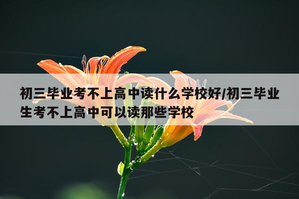 初三毕业考不上高中读什么学校好/初三毕业生考不上高中可以读那些学校
