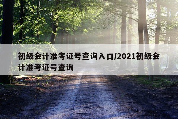 初级会计准考证号查询入口/2021初级会计准考证号查询