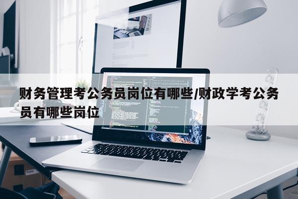 财务管理考公务员岗位有哪些/财政学考公务员有哪些岗位