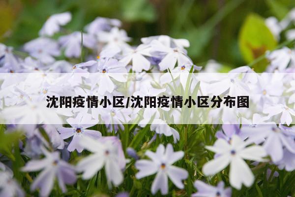 沈阳疫情小区/沈阳疫情小区分布图