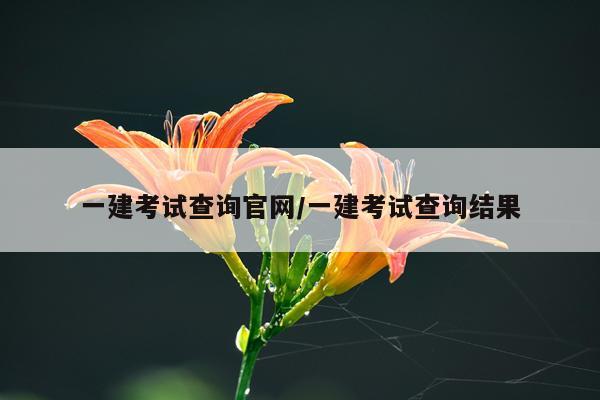 一建考试查询官网/一建考试查询结果