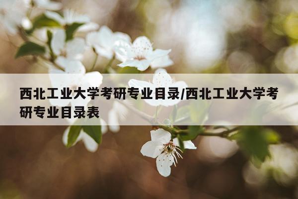 西北工业大学考研专业目录/西北工业大学考研专业目录表