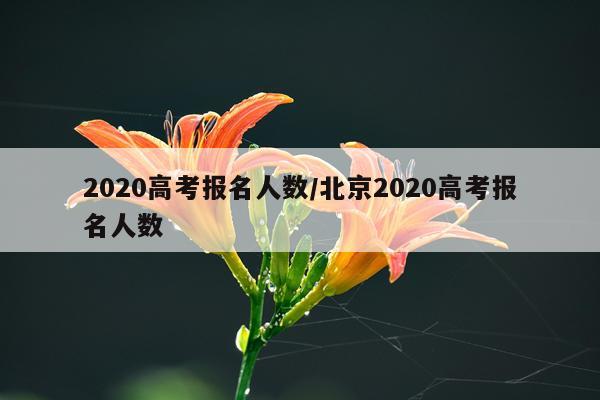 2020高考报名人数/北京2020高考报名人数