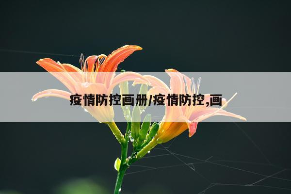 疫情防控画册/疫情防控,画