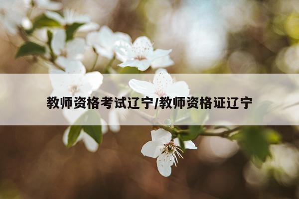 教师资格考试辽宁/教师资格证辽宁