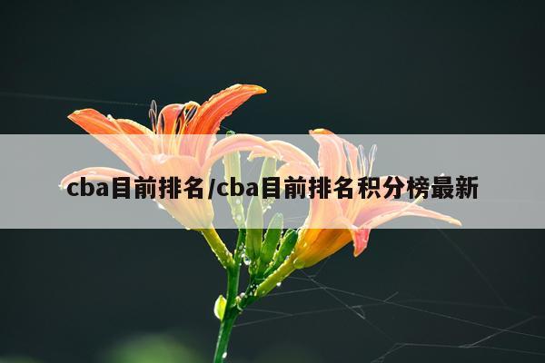 cba目前排名/cba目前排名积分榜最新