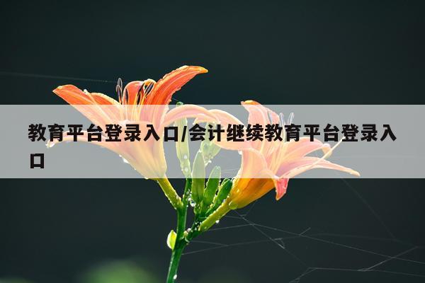 教育平台登录入口/会计继续教育平台登录入口