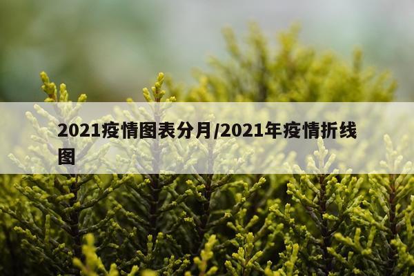 2021疫情图表分月/2021年疫情折线图