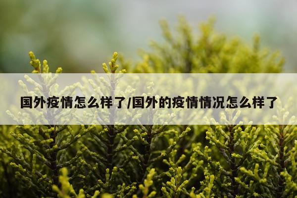 国外疫情怎么样了/国外的疫情情况怎么样了