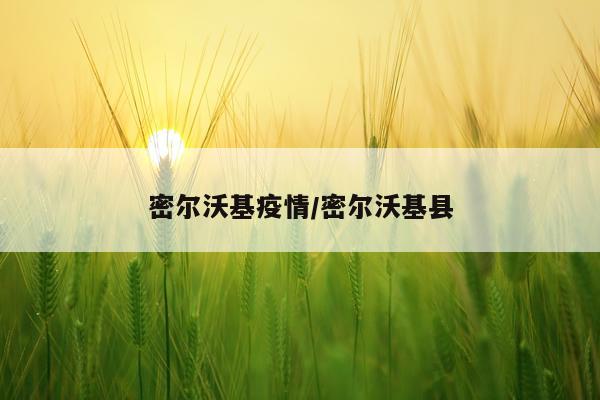 密尔沃基疫情/密尔沃基县