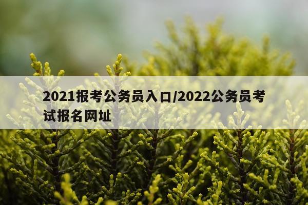 2021报考公务员入口/2022公务员考试报名网址