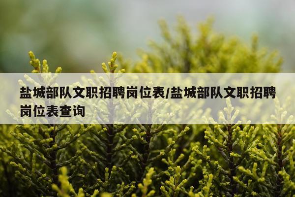 盐城部队文职招聘岗位表/盐城部队文职招聘岗位表查询