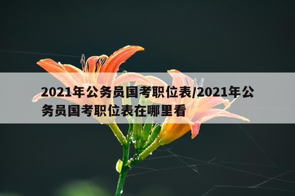 2021年公务员国考职位表/2021年公务员国考职位表在哪里看