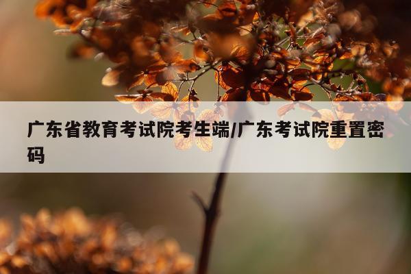 广东省教育考试院考生端/广东考试院重置密码