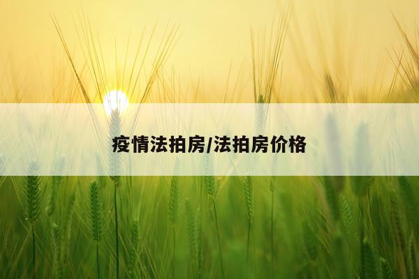 疫情法拍房/法拍房价格
