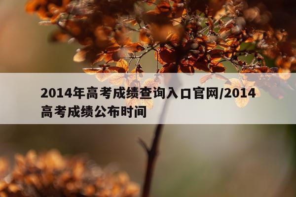 2014年高考成绩查询入口官网/2014高考成绩公布时间