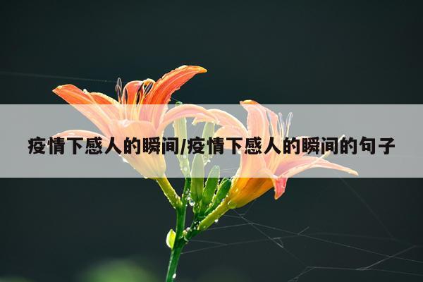 疫情下感人的瞬间/疫情下感人的瞬间的句子