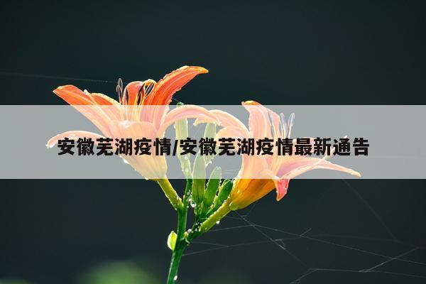 安徽芜湖疫情/安徽芜湖疫情最新通告
