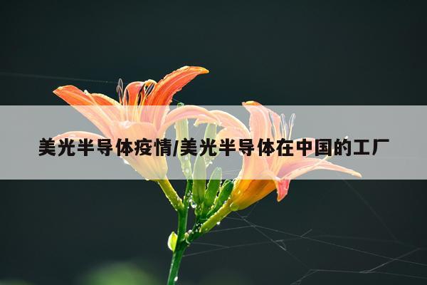 美光半导体疫情/美光半导体在中国的工厂