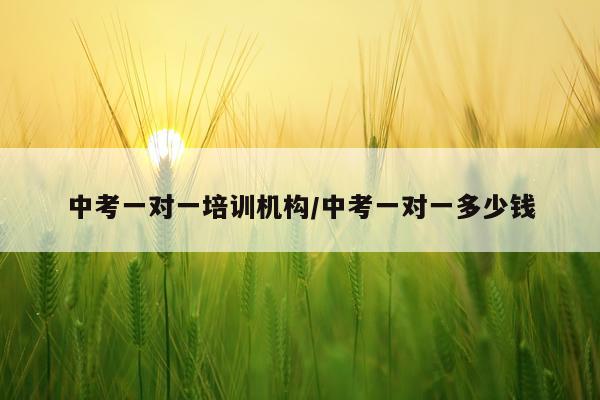 中考一对一培训机构/中考一对一多少钱