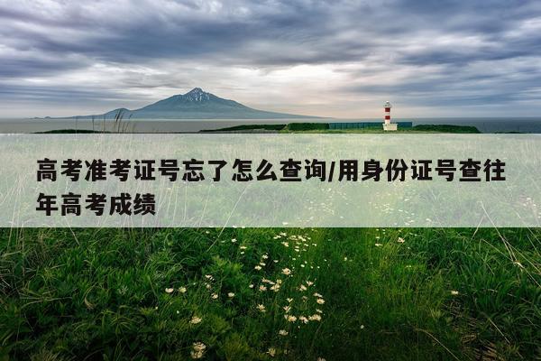 高考准考证号忘了怎么查询/用身份证号查往年高考成绩