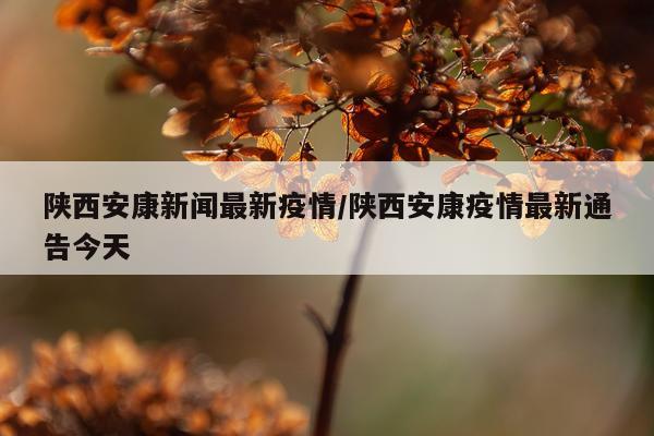 陕西安康新闻最新疫情/陕西安康疫情最新通告今天