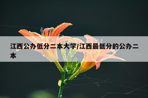 江西公办低分二本大学/江西最低分的公办二本