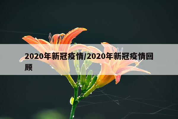 2020年新冠疫情/2020年新冠疫情回顾