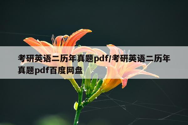 考研英语二历年真题pdf/考研英语二历年真题pdf百度网盘
