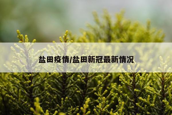 盐田疫情/盐田新冠最新情况