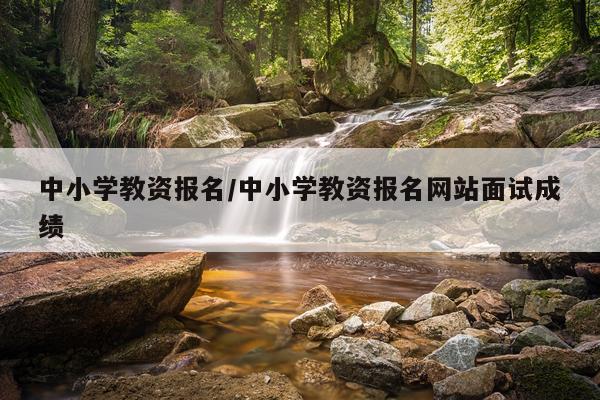 中小学教资报名/中小学教资报名网站面试成绩