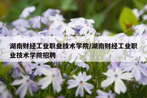 湖南财经工业职业技术学院/湖南财经工业职业技术学院招聘