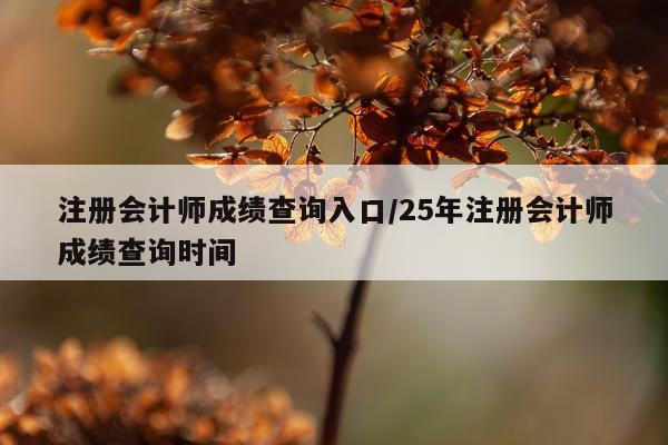 注册会计师成绩查询入口/25年注册会计师成绩查询时间