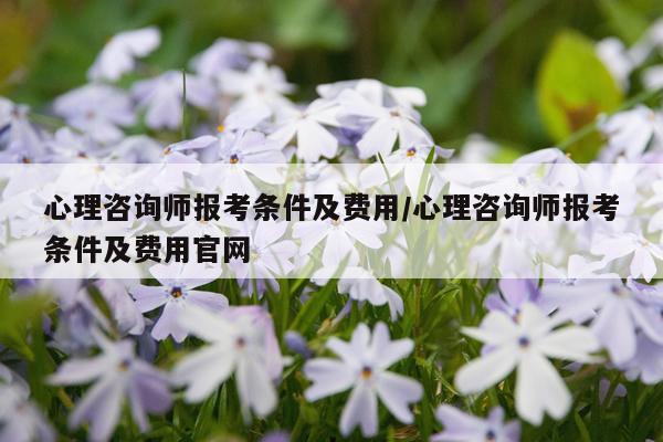 心理咨询师报考条件及费用/心理咨询师报考条件及费用官网