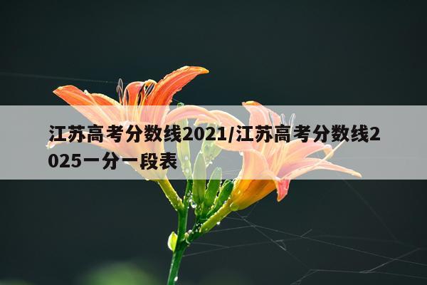 江苏高考分数线2021/江苏高考分数线2025一分一段表